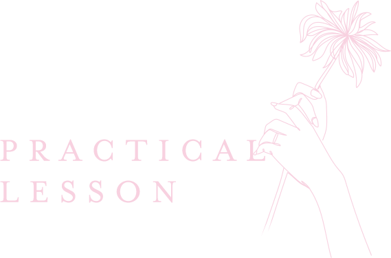 PRACTICAL LESSON